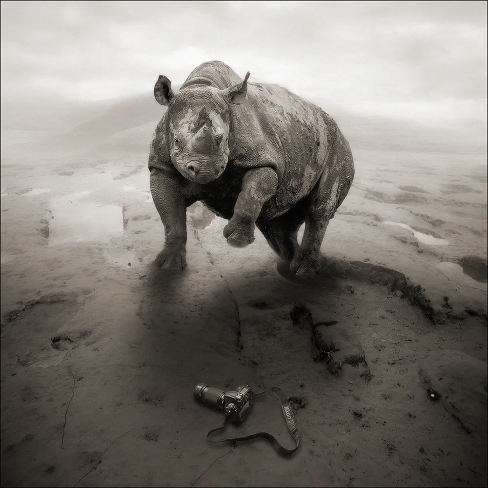 Photo Art by Yves Lecoq, Part 2
