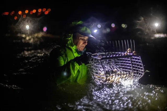 A “mariscadora” (shellfish picker) checks the catch in her rake as she collects clams and cockles in the Noia estuary, northwestern Spain, overnight on December 19, 2022. “Mariscadoras”, mostly women, pick clams and cockles out of the sand banks of Galicia region, in north-western Spain. In the past, this wasnt considered a job and there were no employment rights. The situation started to change in the 1990s when mariscadoras joined fishermens guilds and were recognised as workers of the seafood sector. Nowadays, shellfish pickers rights are protected through an active national association, representing over 30,000 women in Spain. (Photo by Miguel Riopa/AFP Photo)