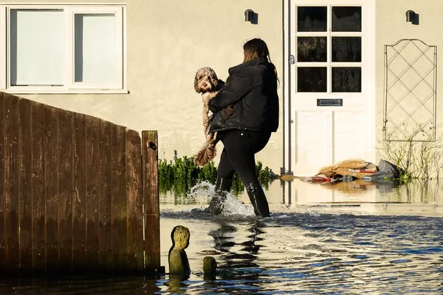 A resident carries her pet dog to her parent's home as the impact of flooding continues to impact the lives of those living on the banks of the River Thames, on January 10, 2024 in Wraysbury, United Kingdom. Rising water levels along certain parts of the Thames riverside have caused substantial impacts on homes and businesses, leading to the evacuation of vulnerable residents in the flood-hit village of Wraysbury. At the same time, the entire stretch of the river in Surrey is under warnings. (Photo by Leon Neal/Getty Images)