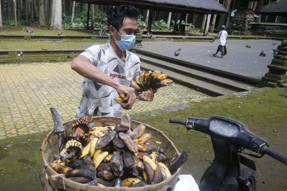 A Look at Life in Indonesia