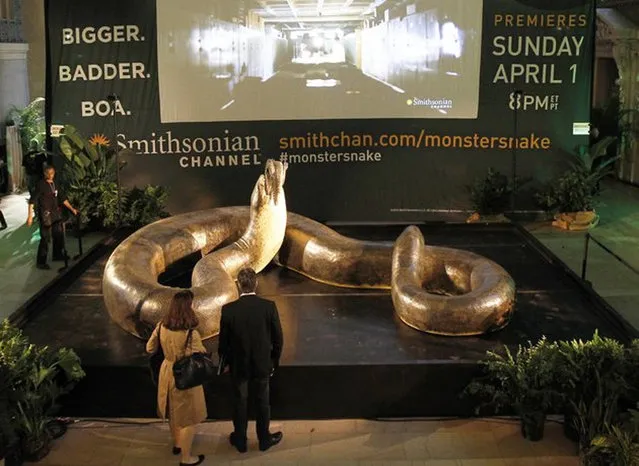 Titanoboa: Monster Snake