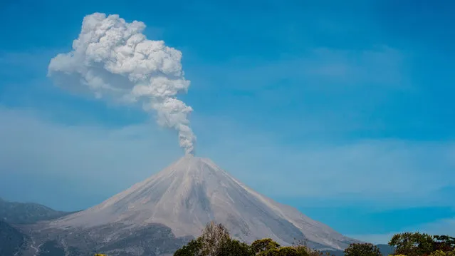 The Colima or Fuego volcano spews ash and smoke on January 23, 2017, as seen from La Yerbabuena, Colima State, Mexico. The Colima volcano is one of the most active in Mexico and in the last days its activity has intensified. (Photo by Hector Guerrero/AFP Photo)
