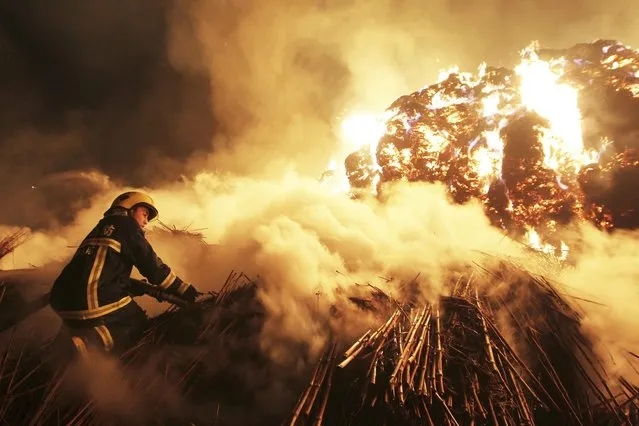 A firefighter attempts to extinguish a fire which broke out on piles of reed at a paper factory in Changde, Hunan province, on February 16, 2014. (Photo by Reuters/Stringer)