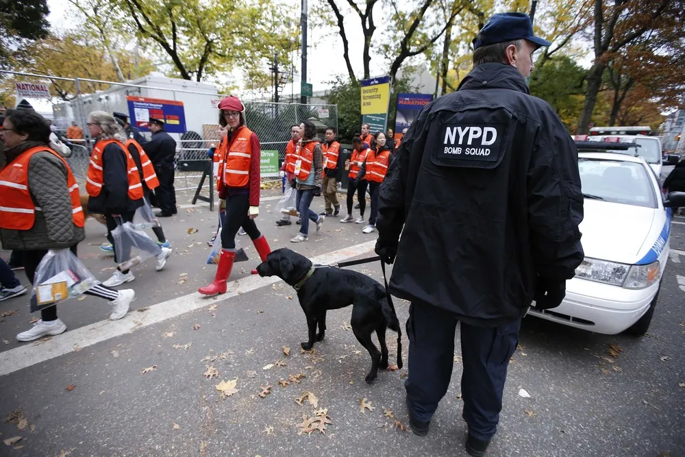 Bomb-Sniffing Dogs