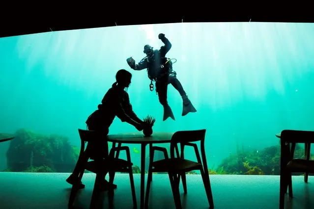 A worker prepares the dining tables as a diver cleans the outside of a viewing window of Under, a restaurant that is semi-submerged beneath the waters of the North Sea on May 2, 2019 in Lindesnes near Kristiansand, some 400 km south west of Oslo. Under, a new restaurant that opened a few weeks ago in Lindesnes, serves up Poseiden's delicacies with a unique view, in an architectural showpiece that stretches five meters (15 feet) underwater. The restaurant is a 34-metre monolith designed by Norwegian firm Snohetta, known for its celebrated buildings such as the Oslo Opera and the 9/11 Memorial Pavilion in New York. (Photo by Jonathan Nackstrand/AFP Photo)