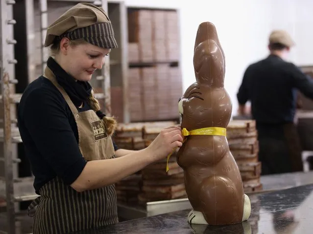 Employee Sandra Jaeckel adjusts a ribbon around the neck of a giant chocolate Easter bunny at the production facility at Confiserie Felicitas chocolates maker in Hornow. (Photo by Sean Gallup/Getty Images)