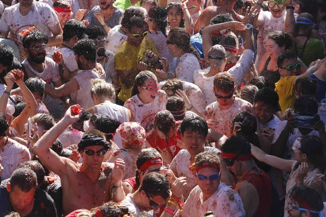 Revellers throw tomatoes at each other, during the annual “Tomatina”, tomato fight fiesta in the village of Bunol near Valencia, Spain, Wednesday, August 28, 2019. (Photo by Alberto Saiz/AP Photo)