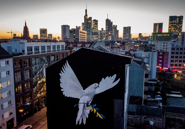 A peace mural showing a dove with a branch in Ukrainian colors by artist Justus Becker is painted on the wall of a house in Frankfurt, Germany, Monday, February 28, 2022. (Photo by Michael Probst/AP Photo)