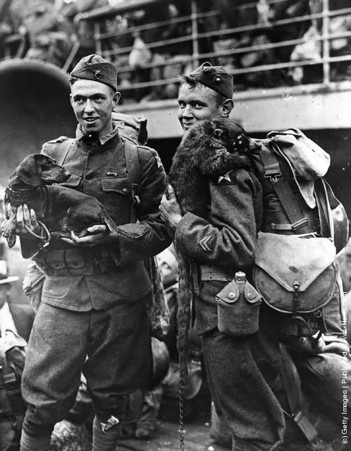 Two American soldiers about to embark for duty, with their pets, a dachshund and a racoon, 1917