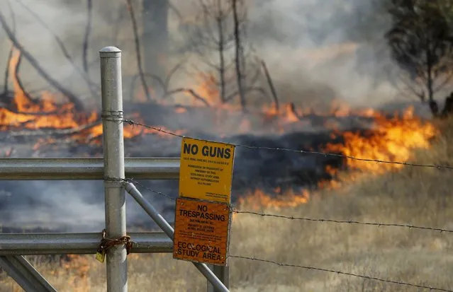 Fire burns near a sign during the so-called Jerusalem Fire in Lake County, California, August 12, 2015. (Photo by Robert Galbraith/Reuters)