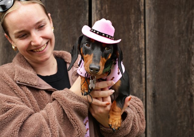 Caitlin Hall of Salamander Bay with Lenni, 1 year old, all dressed up for their first time at the festival at the Dachshtober Longdog Festival at Tocal Homestead, Paterson in NSW on October 26, 2024. (Photo by Simone De Peak/The Guardian)