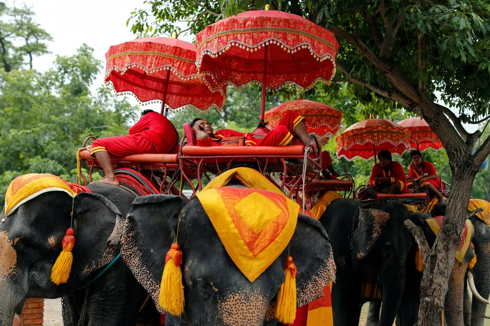 The Day in Photos – July 15, 2016