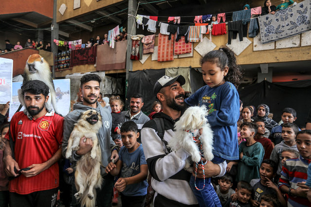 A group of animal lovers brings Gazan children together with animals at the Rafide School to provide psychological support to displaced Gazan children and to help them to forget the negative traces of the Israeli attacks in Deir al-Balah, Gaza on November 14, 2024. (Photo by Abed Rahim Khatib/Anadolu via Getty Images)