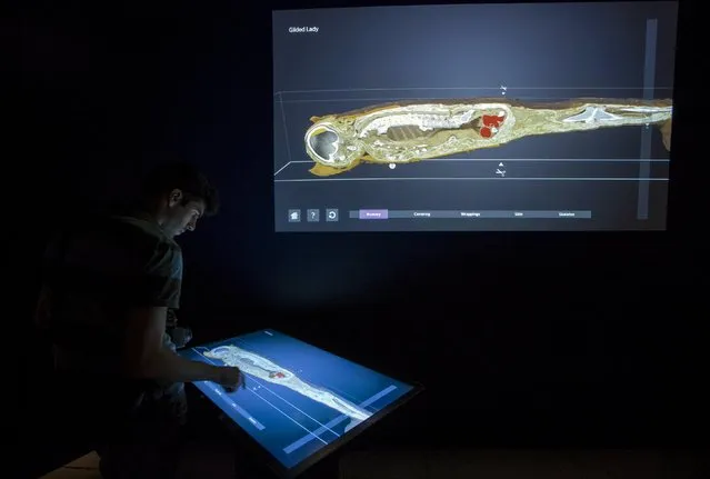 A guest interacts with a CT scan graphic during a media preview for the exhibit “Mummies: New Secrets from the Tombs” at the Natural History Museum of Los Angeles County in Los Angeles, California September 10, 2015. (Photo by Mario Anzuoni/Reuters)