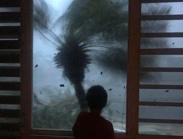 In this early morning September 20, 2017 photo, a young boy looks out the window as strong winds brought on by Hurricane Maria bend a palm tree and send debris flying, in Juncos, Puerto Rico. As rains began to lash Puerto Rico, Gov. Ricardo Rossello warned that Maria could hit “with a force and violence that we haven't seen for several generations”. (Photo by Linda Rodriguez Flecha/AP Photo)