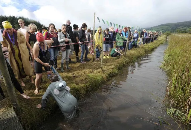 A competitor is helped out after participating in the 31st World Bog Snorkelling Championships, held annually at Llanwrtyd Wells in Wales, Britain August 28, 2016. (Photo by Rebecca Naden/Reuters)