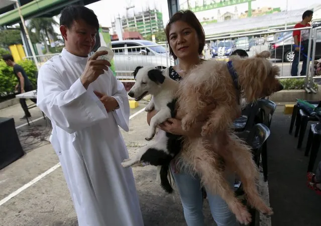 Xander Carandang, a Catholic priest, sprinkles holy water on a woman and her pets during a pet blessing at the Greenhills shopping mall in Manila October 3, 2015. Pets were blessed on Saturday in a celebration honouring the patron saint of animals Saint Francis of Assisi. (Photo by Romeo Ranoco/Reuters)