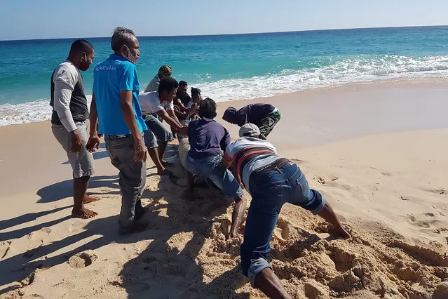 This handout picture taken and released on July 30, 2020 by Indonesian nature conservation agency (BKSDA) shows villagers trying to push a still-living whale back into the sea at Lie Jaka beach in Sabu Raijua, East Nusa Tenggara. Ten whales covered in deep cuts were found dead on an Indonesian beach on July 30, the conservation agency said, a week after a giant blue whale washed up in the same region. The marine mammals, ranging from two-to-six metres (6.5-20 feet) in length, were found in the province of East Nusa Tenggara, where locals scrambled to push one still-living whale from the pod back into the sea. (Photo by Indonesian nature conservation agency/AFP Photo)