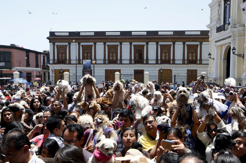 Saint Francis of Assisi Festivities in Lima