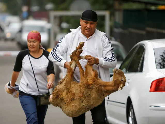 A man carries a sheep for slaughtering to mark Kurban-Ait, also known as Eid al-Adha, in the Central Mosque in Almaty, Kazakhstan, September 12, 2016. (Photo by Shamil Zhumatov/Reuters)