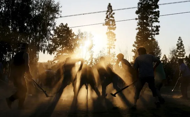 People play "Palin", a traditional ritual and ancestral Mapuche game played with curved sticks called "Chuecas" and a wooden ball, during a meet on Dia de la Raza (Day of the Races), also known as Columbus Day in Vina del Mar, Chile October 11, 2015. (Photo by Rodrigo Garrido/Reuters)