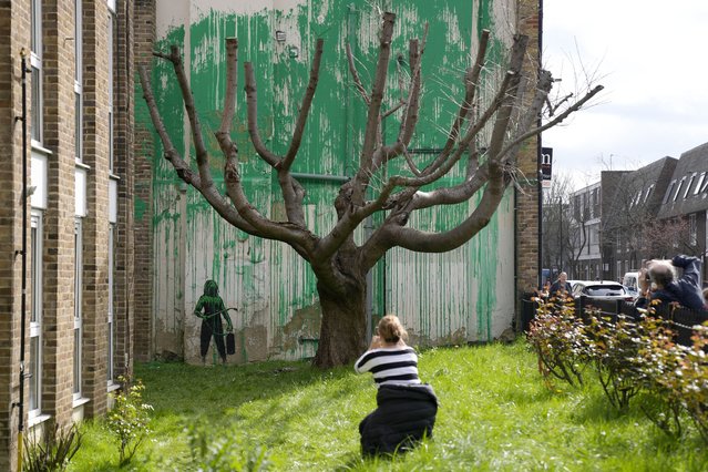 People look at a new Banksy painting on a wall in London, Monday, March 18, 2024. A new Banksy mural drew crowds to a London street on Monday, even before the elusive graffiti artist confirmed that the work was his. The artwork in the Finsbury Park neighborhood covers the wall of a four-story building and shows a small figure holding a pressure hose beside a real tree. Green paint has been sprayed across the wall, replicating the absent leaves of the tree, which has been severely cropped. Banksy claimed the work by posting before and after photos of the location on his official Instagram account. (Photo by Alastair Grant/AP Photo)