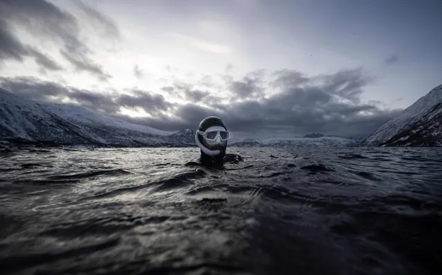 Five times freediving World Champion France's Arthur Guerin-Boeri warm up prior to dives in the deep to spot Orcas (Killer Whales), in the Spildra Island northern Arctic Circle, on January 25, 2023. (Photo by Olivier Morin/AFP Photo)