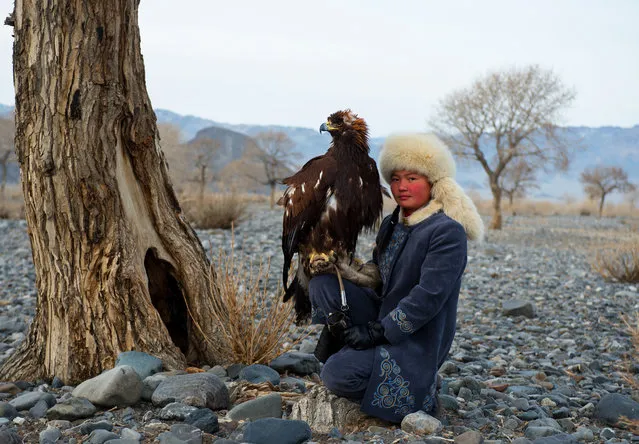 “The youngest female hunter in western Mongolia to use a golden eagle to hunt. Here she rests with her eagle on a dry river bed”. (Photo by Simon Morris/The Guardian)