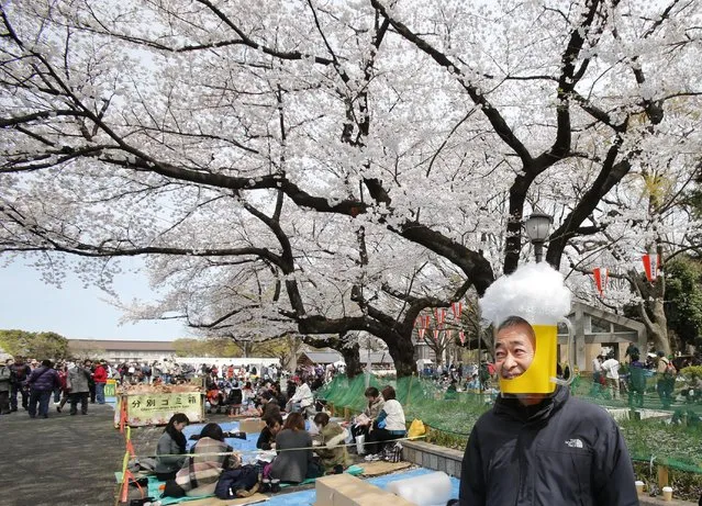 A man wearing a beer mug mask waits for the start of his cherry blossom viewing party at Ueno Park in Tokyo, Japan, on March 27, 2013. (Photo by Koji Sasahara/AP Photo)