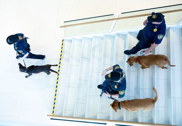 Canine officers with their dogs screen the premises to check the security prior to the opening of the of the 69th regular Plenary session of the International Atomic Energy Agency (IAEA) at its headquarters in Vienna, Austria on September 15, 2025. (Photo by Joe Klamar/AFP Photo)