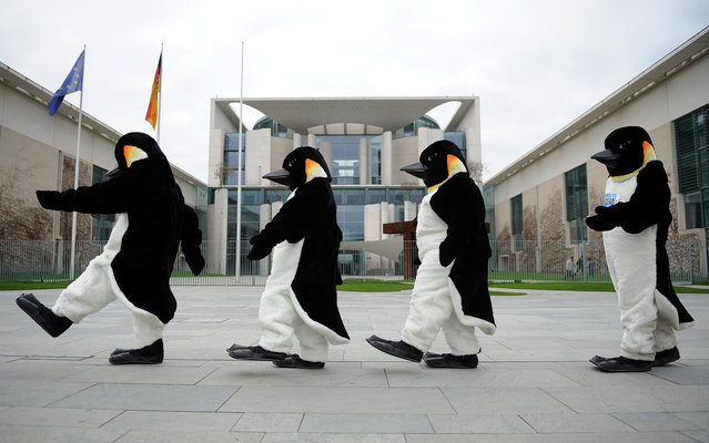 Activists wearing penguin costumes and demonstrating for climate protection patrol in front of the Chancellery in Berlin on April 23, 2013. The environmetalists called the German government, Russia, Norway and China to accept responsability for the protected areas at the Antarctic sea. (Photo by Britta Pedersen/AFP Photo)