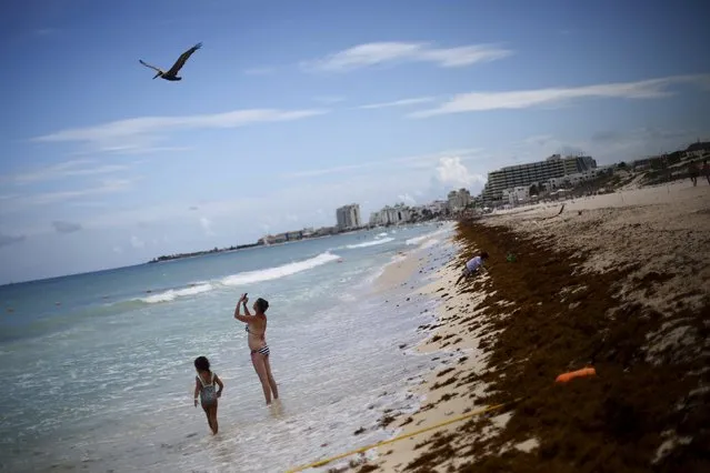 A woman takes pictures on a beach in Cancun, August 15, 2015. (Photo by Edgard Garrido/Reuters)