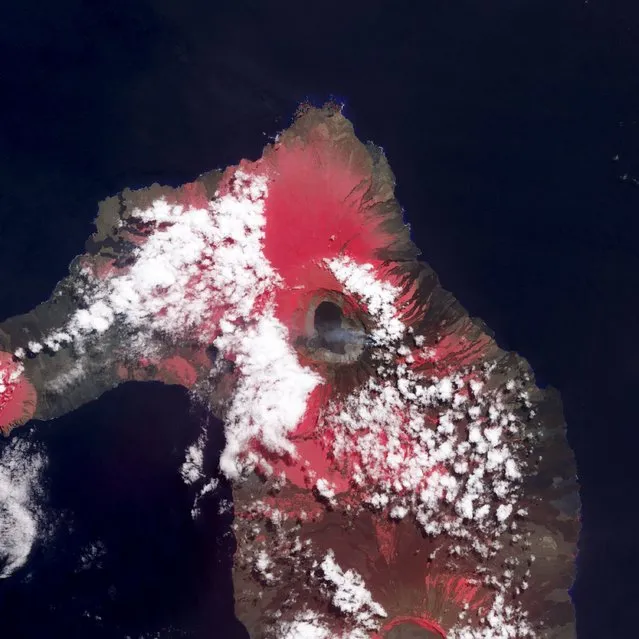 Wolf Volcano, the highest volcano in the Galapagos Islands, is pictured erupting for the first time in 33 years in this June 11, 2015 NASA satellite handout photo by the ASTER instrument on NASA's Terra satellite obtained by Reuters June 30, 2015. (Photo by Reuters/NASA)