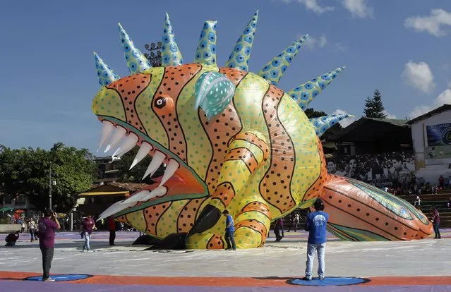 A view of balloon depicting an Alebrije, is seen at the 14th Solar Balloon Festival in Envidago December 31, 2014. According to the festival organizers, the Alebrije balloon will be largest replica of an Alebrije. This year features a theme on Mexican history and culture, organizers added. (Photo by Fredy Builes/Reuters)
