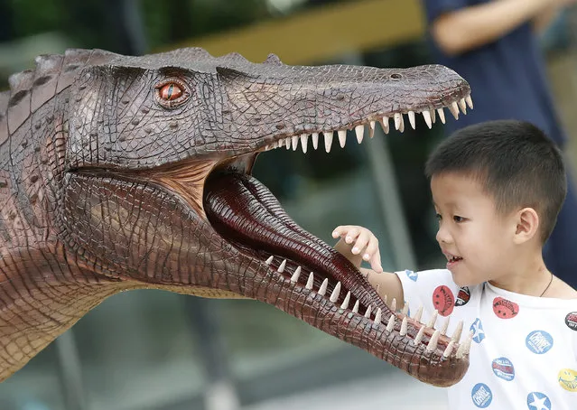 A boy looks at a model of dinosaurs 'Siamosaurus suteethorni' on display in the Amazing Asian Dinosaurs 2015 exhibition, in Bangkok, Thailand, 20 November 2015. The exhibition is display of an ancient world featuring the remains of varied dinosaur species discovered in Thailand and Asia. The exhibit real specimens, which are the important Thai dinosaur fossils as a treasure of Thailand, to mark honor the 60th birthday of Princess Maha Chakri Sirindhorn, and is held from 20 to 29 November. (Photo by Narong Sangnak/EPA)