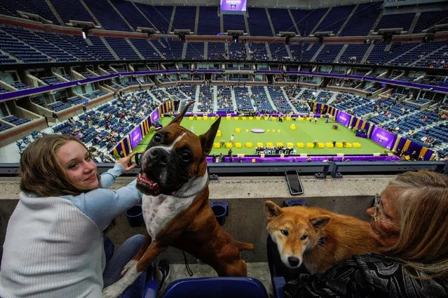 People with their dogs watch the Sporting group during the 147th Westminster Kennel Club Dog Show at the USTA Billie Jean King National Tennis Center in New York, U.S., May 9, 2023. (Photo by Eduardo Munoz/Reuters)