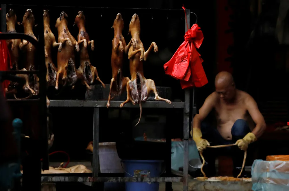 Dog Meat Festival in China