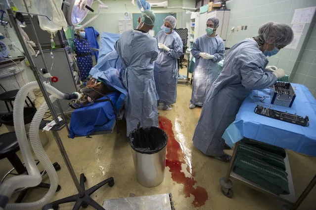 In this Wednesday, December 2, 2015 photo, veterinarians and students operate on a horse with a broken leg at the University's Koret School of Veterinary Medicine in Rishon Lezion, Israel. (Photo by Oded Balilty/AP Photo)