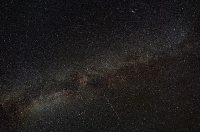 Photographer Hiro took this photo of the Perseids on August 12, 2010, near Kaohe Mauka Ahupua`a, in Holualoa, Hawaii. (Photo by Hiro)