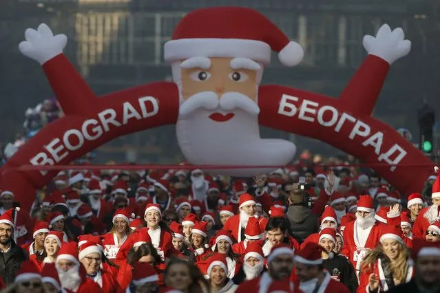 People dressed as Santa Claus run during an annual race in Belgrade, Serbia December 27, 2015. (Photo by Marko Djurica/Reuters)
