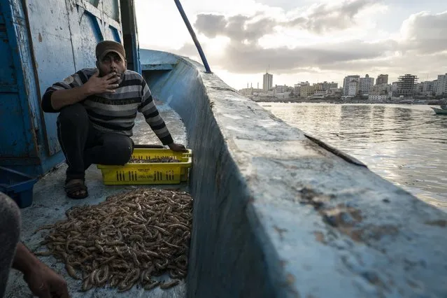 A fisherman takes a drag from his cigarette while sorting shrimp on deck after a limited number of boats are allowed to return to the sea following a cease-fire reached after an 11-day war between Gaza's Hamas rulers and Israel, in Gaza City, Sunday, May 23, 2021. (Photo by John Minchillo/AP Photo)