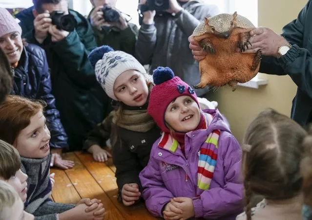 Children react as they look at an armadillo (Dasypus) in a city zoo in Kiev, Ukraine, February 12, 2016. (Photo by Gleb Garanich/Reuters)