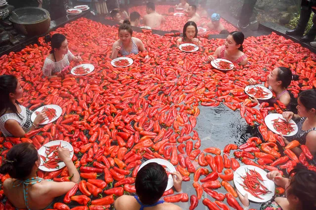 This photo taken on December 9, 2018 shows competitors taking part in a chilli pepper eating contest in a hot spring filled with chilli peppers in the Mingyue Qiangu Scenic Area in Wentang Town, Yichun City, in China's central Jiangxi Province. The winner took one minute to eat 20 peppers. (Photo by AFP Photo/Stringer)