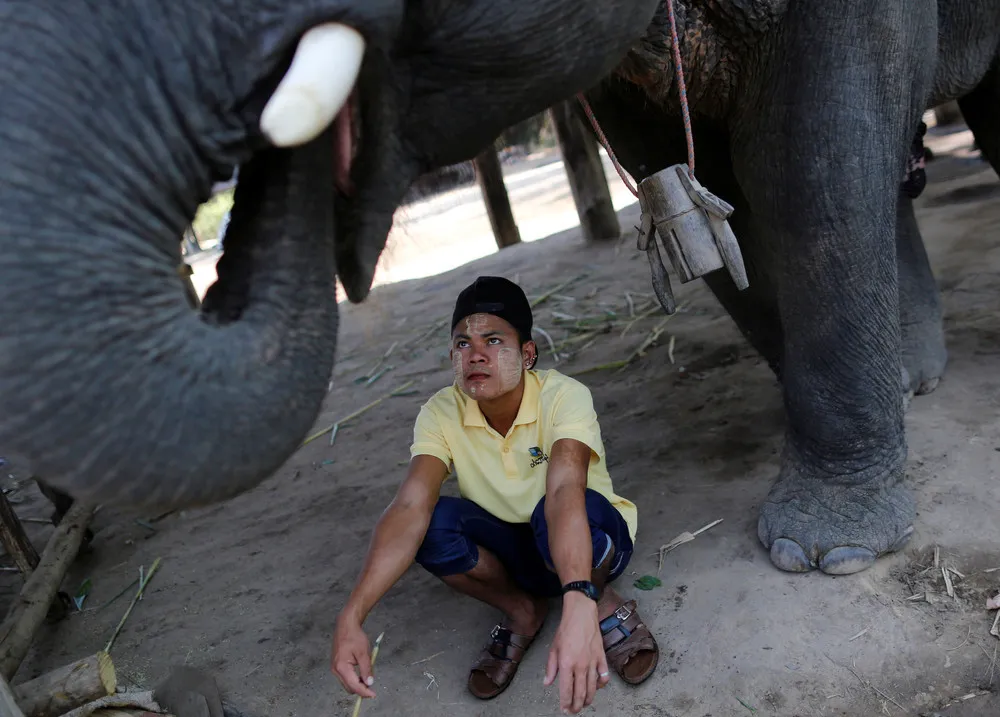 The Day in Photos – February 3, 2017