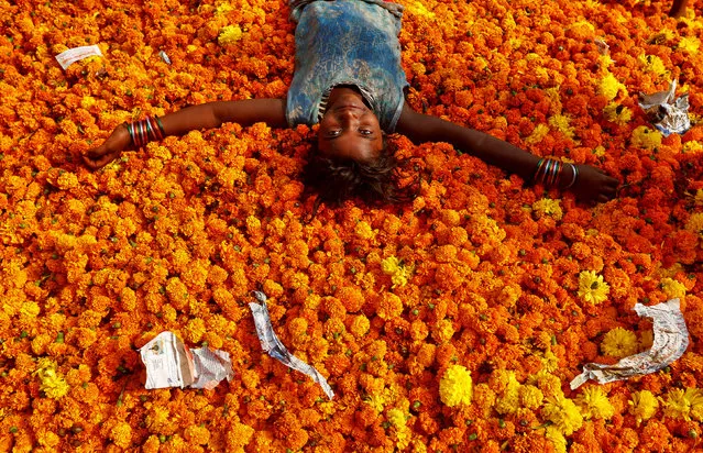 A girl plays on a pile of discarded flowers outside a market, the day after the Diwali celebrations in Mumbai, India October 31, 2016. (Photo by Shailesh Andrade/Reuters)
