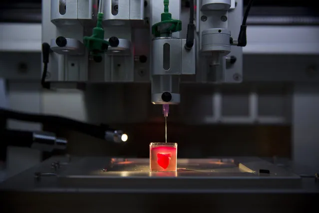 A 3D printer prints a heart with human tissue during a presentation at the University of Tel Aviv, in Tel Aviv, Israel, Monday, April 15, 2019. Scientists in Israel on Monday unveiled a 3D print of a heart with human tissue and vessels, calling it a first and a “major medical breakthrough” that advances possibilities for transplants. (Photo by Oded Balilty/AP Photo)