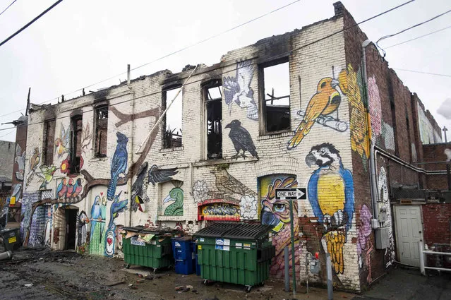 In this photo taken Tuesday, Feb. 19, 2019, the charred remains of the "Bird Alley" mural sit in the alley behind Holh Feed & Seed in Bellingham, Wash. The Bellingham Fire Department was called to a two-alarm fire early Monday morning that destroyed the second story and the granary tower of the building. More than 75 animals were rescued from a burning pet supply store. (Lacey Young/The Bellingham Herald via AP)