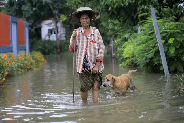 A woman wades through floodwaters in Nakhon Rachasima province, northeastern of Bangkok, Thailand, Monday, October 18, 2021. (Photo by Apimook Svanperthan/AP Photo)