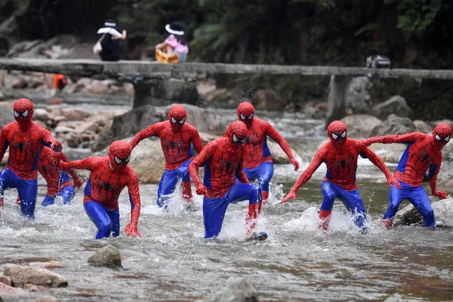 Participants dressed in Spiderman cosplay costumes run in a creek during an event at the Jiulongjiang National Forest Park in Chenzhou, Hunan province, China on July 4, 2019. (Photo by Yang Huafeng/CNS via Reuters)