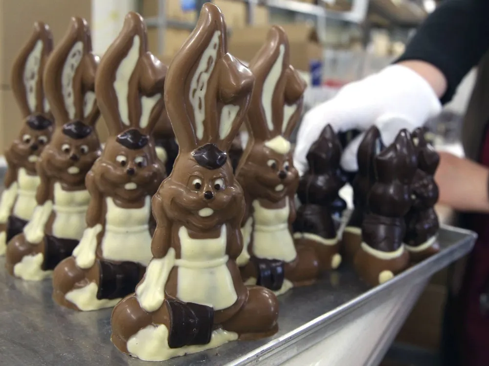 Chocolate Easter Bunny production at Confiserie Felicitas in Germany